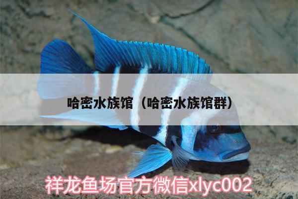 哈密水族館（哈密水族館群）