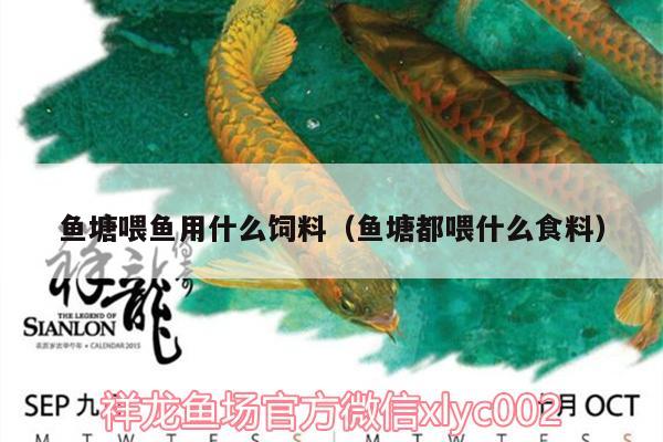 魚塘喂魚用什么飼料（魚塘都喂什么食料） 伊巴卡魚