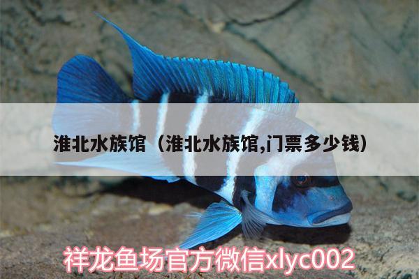 淮北水族館（淮北水族館,門票多少錢）