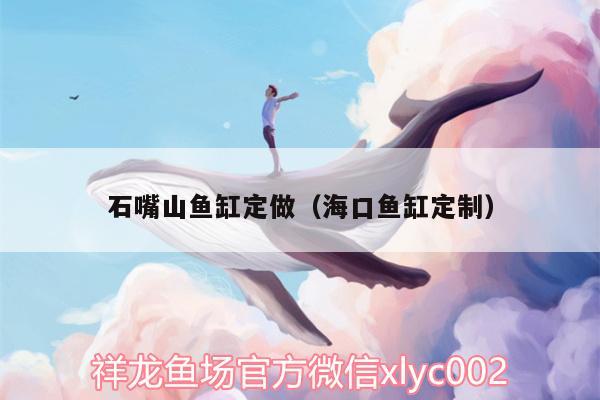 石嘴山魚缸定做（?？隰~缸定制） 印尼虎苗