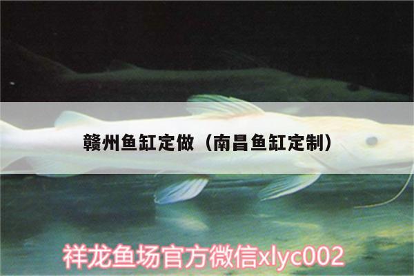 贛州魚缸定做（南昌魚缸定制） 泰龐海鰱魚