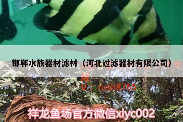 邯鄲水族器材濾材（河北過濾器材有限公司）