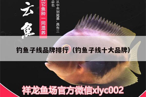 釣魚子線品牌排行（釣魚子線十大品牌）