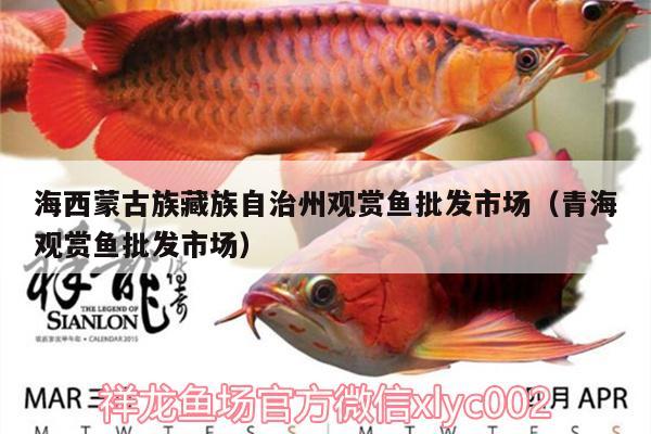 海西蒙古族藏族自治州觀賞魚批發(fā)市場(chǎng)（青海觀賞魚批發(fā)市場(chǎng)） 觀賞魚批發(fā)