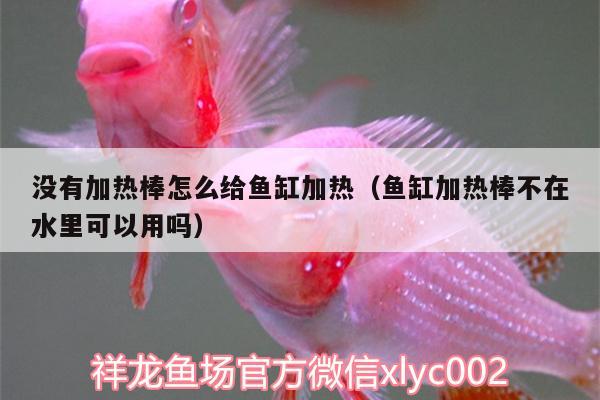 沒有加熱棒怎么給魚缸加熱（魚缸加熱棒不在水里可以用嗎） 伊巴卡魚