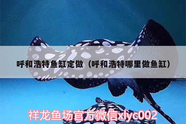 呼和浩特魚缸定做（呼和浩特哪里做魚缸）