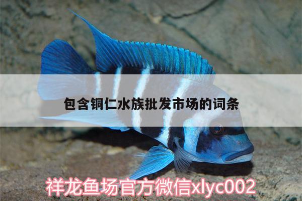 包含銅仁水族批發(fā)市場(chǎng)的詞條