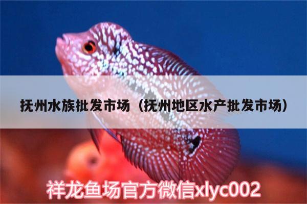 撫州水族批發(fā)市場（撫州地區(qū)水產(chǎn)批發(fā)市場）