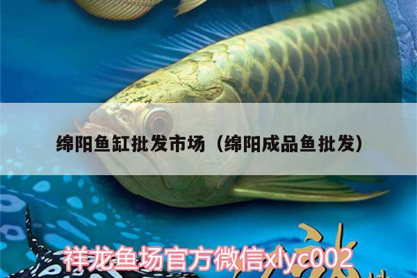 綿陽(yáng)魚(yú)缸批發(fā)市場(chǎng)（綿陽(yáng)成品魚(yú)批發(fā)）