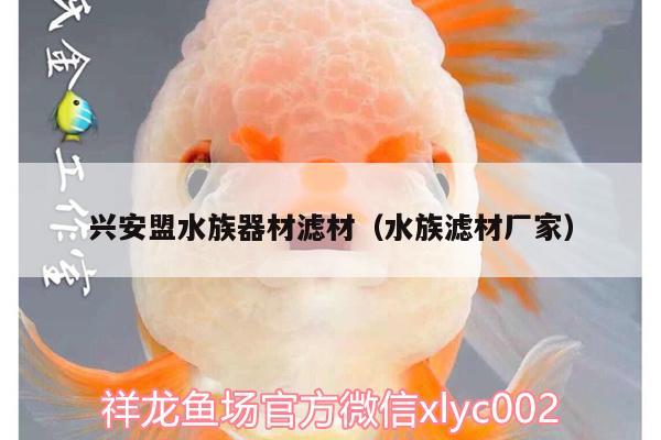 興安盟水族器材濾材（水族濾材廠家） BD魟魚