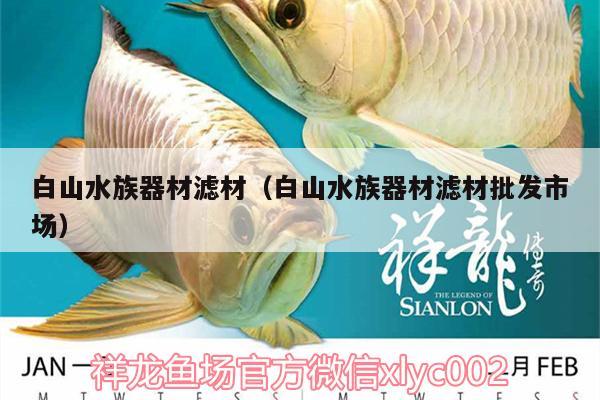 白山水族器材濾材（白山水族器材濾材批發(fā)市場） 廣州水族器材濾材批發(fā)市場