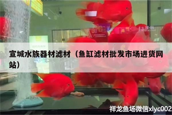 宣城水族器材濾材（魚缸濾材批發(fā)市場進(jìn)貨網(wǎng)站） 龍鳳鯉魚