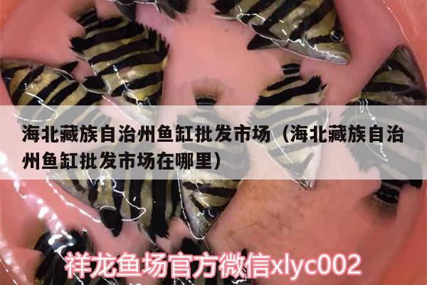 海北藏族自治州魚缸批發(fā)市場（海北藏族自治州魚缸批發(fā)市場在哪里）