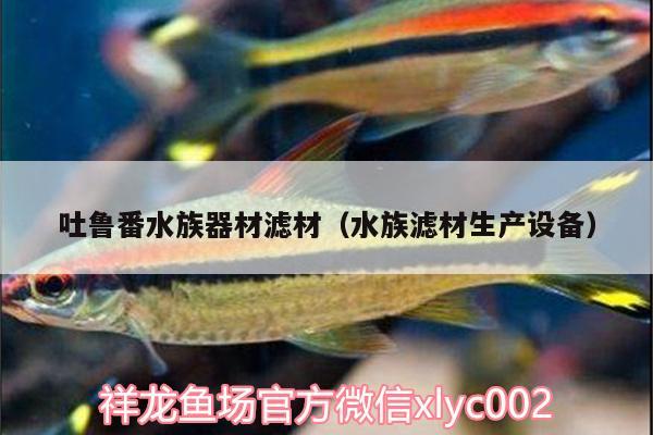 吐魯番水族器材濾材（水族濾材生產(chǎn)設(shè)備） 元寶鳳凰魚