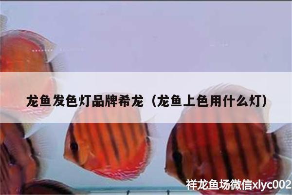 龍魚發(fā)色燈品牌希龍（龍魚上色用什么燈）