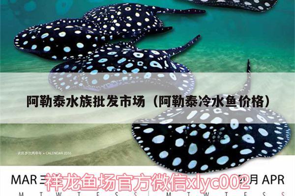 阿勒泰水族批發(fā)市場（阿勒泰冷水魚價格） 觀賞魚水族批發(fā)市場