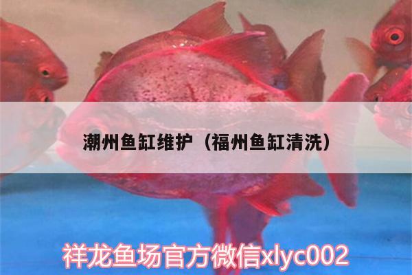 潮州魚缸維護（福州魚缸清洗）