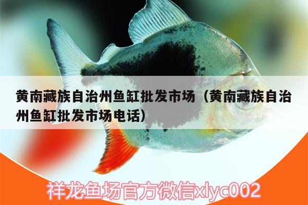 黃南藏族自治州魚缸批發(fā)市場(chǎng)（黃南藏族自治州魚缸批發(fā)市場(chǎng)電話）