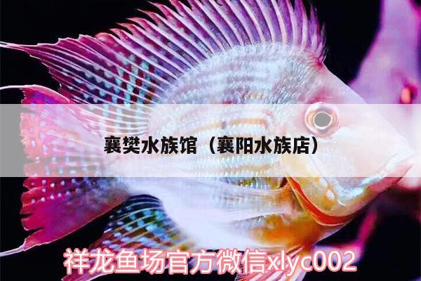 襄樊水族館（襄陽水族店）