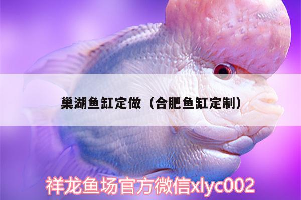 巢湖魚缸定做（合肥魚缸定制） 虎斑恐龍魚