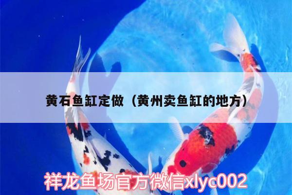 黃石魚缸定做（黃州賣魚缸的地方） 紅頭利魚