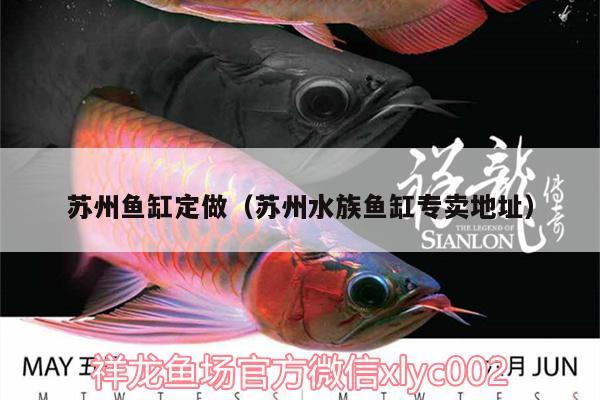 蘇州魚(yú)缸定做（蘇州水族魚(yú)缸專(zhuān)賣(mài)地址） 朱巴利魚(yú)