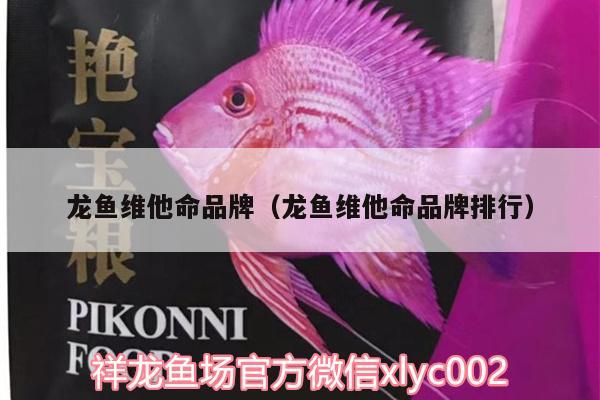 龍魚維他命品牌（龍魚維他命品牌排行）