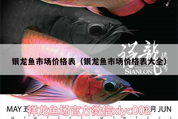 銀龍魚市場(chǎng)價(jià)格表（銀龍魚市場(chǎng)價(jià)格表大全）