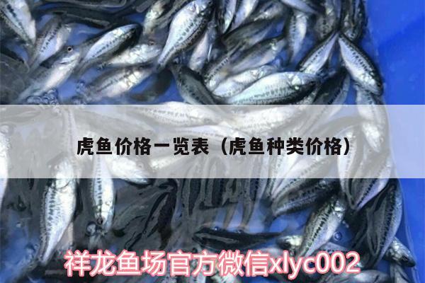 虎魚價格一覽表（虎魚種類價格）