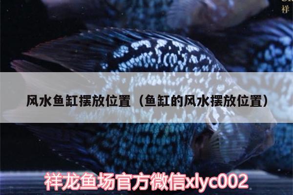 風(fēng)水魚缸擺放位置（魚缸的風(fēng)水?dāng)[放位置）