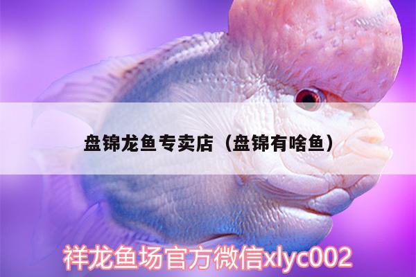 盤錦龍魚專賣店（盤錦有啥魚） 魚缸水泵