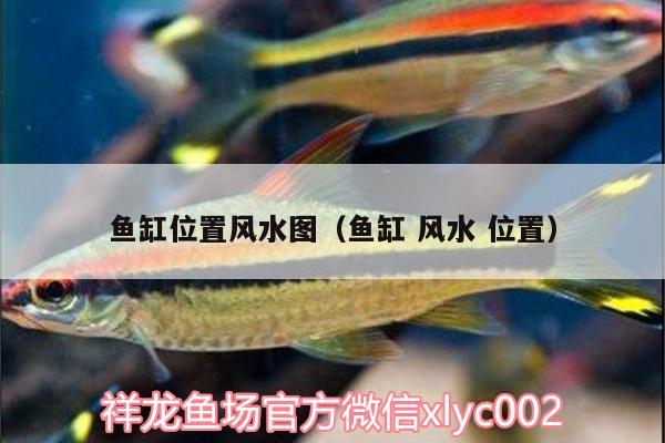 魚缸位置風(fēng)水圖（魚缸風(fēng)水位置）