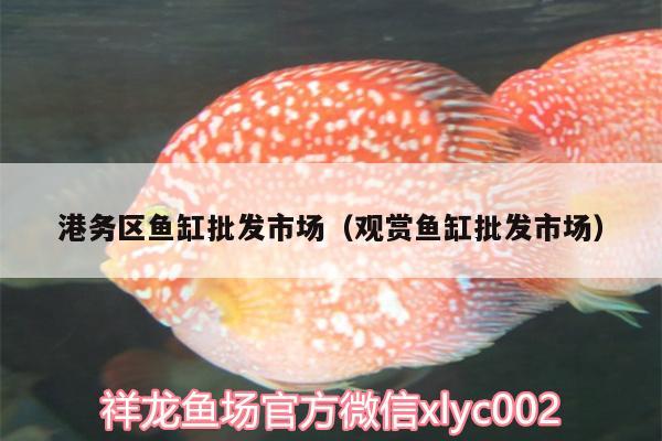 港務(wù)區(qū)魚缸批發(fā)市場（觀賞魚缸批發(fā)市場）