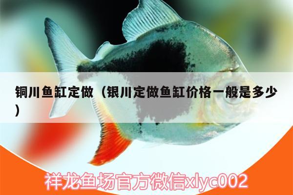 銅川魚缸定做（銀川定做魚缸價(jià)格一般是多少） 二氧化碳設(shè)備