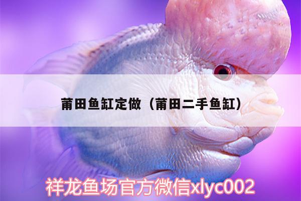 莆田魚缸定做（莆田二手魚缸） 硝化細(xì)菌