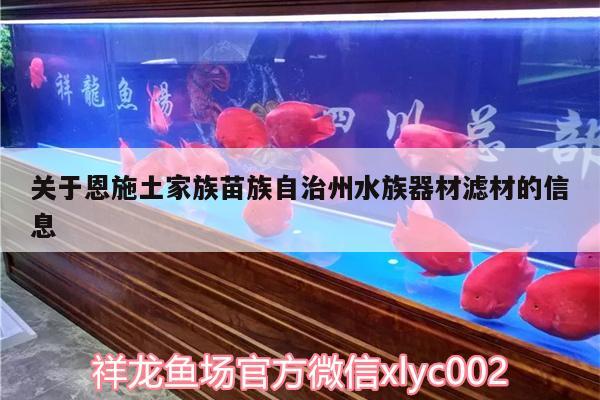 關于恩施土家族苗族自治州水族器材濾材的信息 觀賞龜/鱉飼料