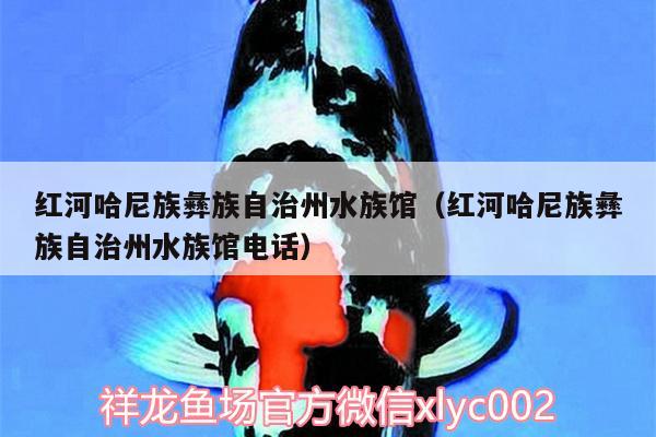 紅河哈尼族彝族自治州水族館（紅河哈尼族彝族自治州水族館電話(huà)） 七彩神仙魚(yú)