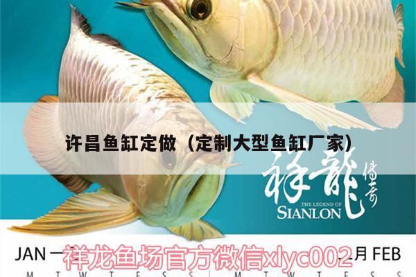 許昌魚缸定做（定制大型魚缸廠家）