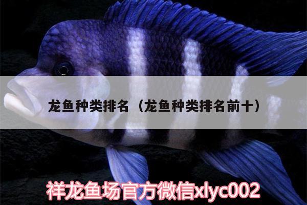 龍魚種類排名（龍魚種類排名前十）