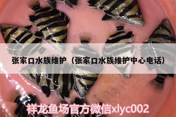 張家口水族維護（張家口水族維護中心電話）