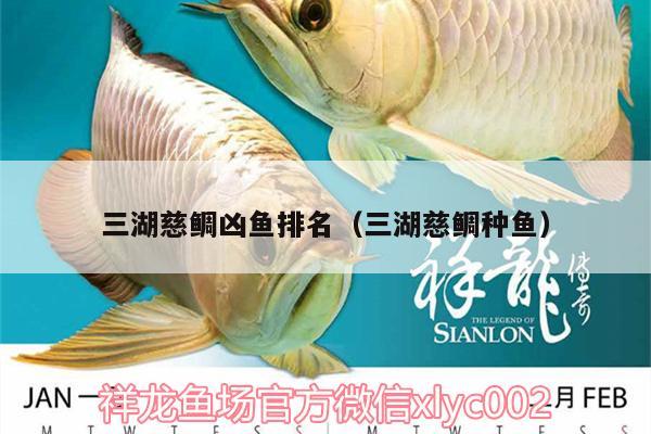 三湖慈鯛兇魚排名（三湖慈鯛種魚） 蝴蝶鯉