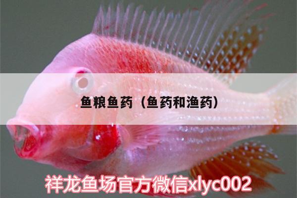 魚糧魚藥（魚藥和漁藥） 魚糧魚藥