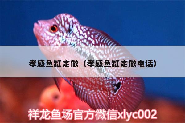 孝感魚缸定做（孝感魚缸定做電話） B級(jí)過背金龍魚