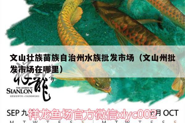 文山壯族苗族自治州水族批發(fā)市場(chǎng)（文山州批發(fā)市場(chǎng)在哪里）