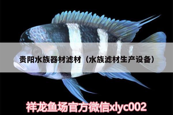 貴陽水族器材濾材（水族濾材生產(chǎn)設(shè)備）