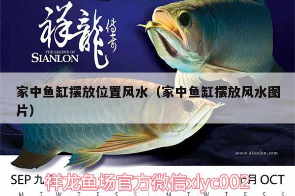 家中魚(yú)缸擺放位置風(fēng)水（家中魚(yú)缸擺放風(fēng)水圖片） 魚(yú)缸風(fēng)水