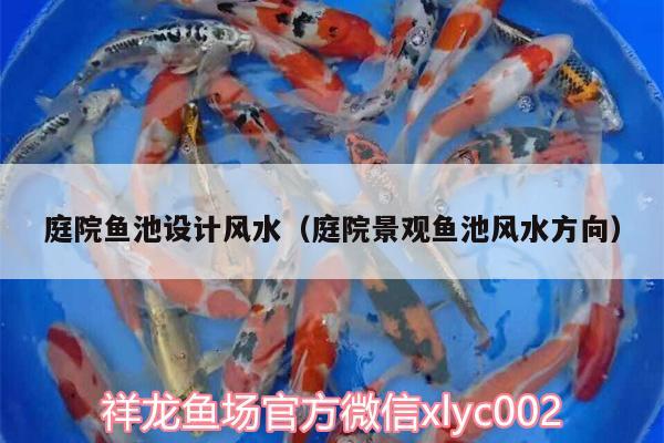 庭院魚(yú)池設(shè)計(jì)風(fēng)水（庭院景觀魚(yú)池風(fēng)水方向） 魚(yú)缸風(fēng)水