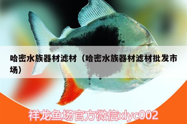 哈密水族器材濾材（哈密水族器材濾材批發(fā)市場）