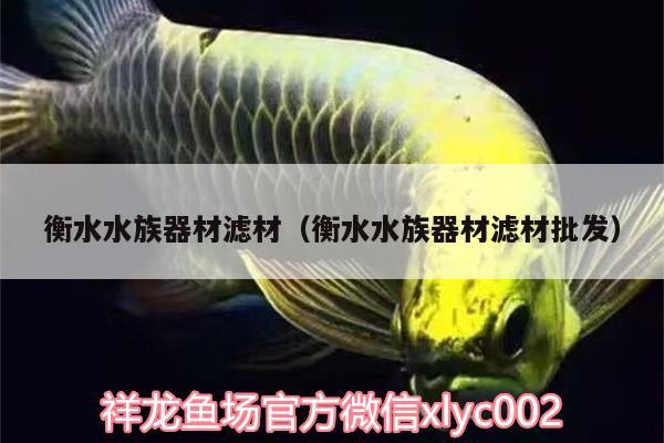 衡水水族器材濾材（衡水水族器材濾材批發(fā)） 魚(yú)缸水質(zhì)穩(wěn)定劑