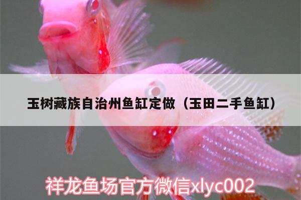 玉樹藏族自治州魚缸定做（玉田二手魚缸）